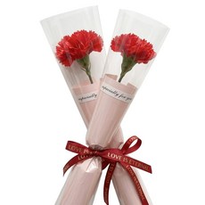 살랑말랑 어버이날 스승의날 한송이 카네이션 비누꽃, 2개, 레드