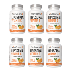 VitaCosmoX 비타코스모엑스 리포조말 비타민C 1700mg 120캡슐 리포솜비타민C 120 야채캡슐, 6개, 120정