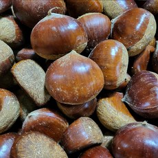 숲하우스 햇밤 공주밤 대과, 1개, 5kg