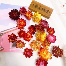 無名精選 麥稈菊 乾燥花材, 小朵/麥稈菊(10克/2盒)