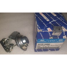 현대모비스 현대자동차 마이티 2 카운티 04년 이전 흡기 엑츄에이터 33125-45000 D4DA 선박용 중기용 발전기용 신품 3312545000 가바나