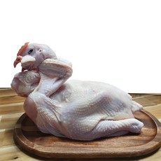 토종닭 제사닭 제수용닭 암닭 1.5kg내외 한약재무료제공, 1개