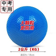 투포환 공 스포츠 던지기 육상용품 트레이닝 훈련 체육부 입시 연습용, 대입자블루2KG[사은품없음]
