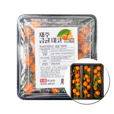 선인 제주 금귤 데코 아이스박스포장, 1개, 24개입