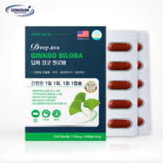 딥씨 징코 빌로바 (750mg) 2개월분 은행잎 추출물 혈행개선 기억력개선에 도움, 1박스, 60정