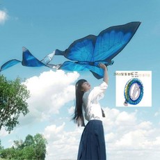 대형 연날리기 촬영용 소품 감성 연만들기 나비연 사진촬영용 대형연, D. 블루 나비연+300m 휠