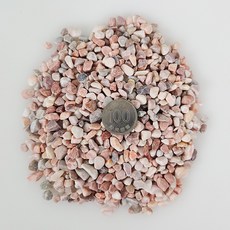 콩자갈 핑크 원예용 자갈, 콩자갈 핑크 2호, 3kg, 1개