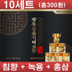 광동 일품기력보환 30환 x 10박스(총300환) 쇼핑백포함 기력회복 공진보1세트 2세트, 10개, 30정