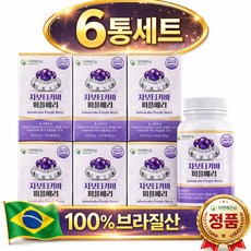 자연에진심 100% 정품 자보티카바 퍼플베리 브라질 퓨레 HACCP 인증 시설 제조, 6개, 60정