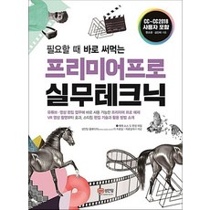 프리미어 프로 실무 테크닉 필요할 때 바로 써먹는, 프리미어 프로 실무 테크닉 : 필요할 때 바로 써먹는, 단품