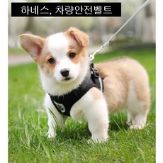 [데솔] 반려견 하네스 (하네스 전용 차량 안전벨트 포함), 1개, 블랙