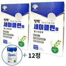 동화약품 잇백 세이클린 하루 5분 틀니세정제 120정(4개월분) + 12정 추가증정, 132개, 2.75L