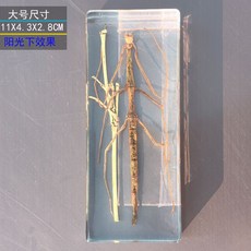 사슴벌레 장식 표본 관찰 곤충 과학 액자 교육용 박제, 독립적 인, 큰 막대기 곤충 + 대나무 가지