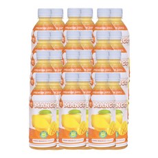 RFC 저온살균 망고 주스 100%, 96병, 350ml