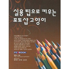 用實用技巧培養的Photoshop貓咪, PC書