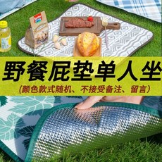 野餐墊戶外防潮墊加厚防水露營地墊便攜帳篷草坪兩用單人野餐屁墊, 【隨機款#50*50CM】二片裝（單人屁,【外貿出口日本品質】#加厚鋁箔不可摺疊包