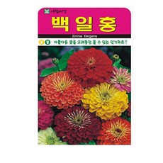 저스틴앤클로이 백일홍200립 고급꽃씨, 1개 1개