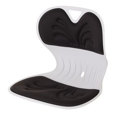 엔뚜마노 프로퍼체어 허리 등받이 자세교정 좌식 의자 PRO-15, 블랙