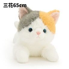 抱抱寶貝貓玩偶 橘貓65cm, 1個, 三花65cm
