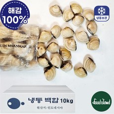 냉동 백합조개 5kg식당 업소용, 2개, 5kg