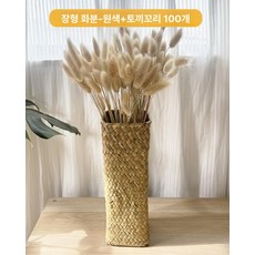 꽃바구니 꽃병 바구니 제품 거실 실내장식 화분 해초 마분지 심플, 6.롱 오리지널+토끼꼬리풀100