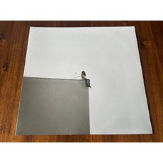 (수입 LP) Nosebleeds by Misterwives (Vinyl Record ), (수입 LP) Nosebleeds by Misterwi