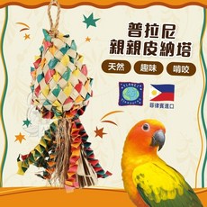 《嘟嘟鳥寵物》美國普拉尼Planet Pleasures 親親皮納塔(小號) 天然棕櫚葉狗狗玩具 互動啃咬玩具, 1個, 小號/S