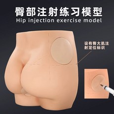엉덩이 모형 주사 실습 간호사 교육 근육 간호 엉덩이주사 인체모형 근육주사