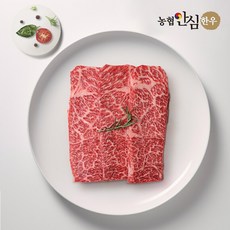 [농협안심한우] 1등급 한우 살치살 400g, 1개