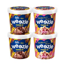 위즐 초코초코밤x2+베리치즈케익x2, 1세트, 2.64L