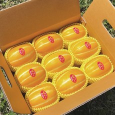 [백화점납품] 최상품 성주참외 새벽수확 당일발송, 1박스, 5Kg 특품 로얄과 (15-25과)