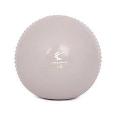 아이워너 소프트 토닝볼 1.5kg 2개 1세트 문 그레이, 없음, 상세설명 참조