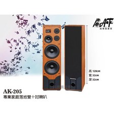 AudioKing AK-205 專業家庭落地式喇叭 雙十吋單體