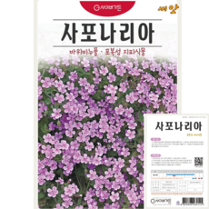 사포나리아 씨앗(100립) 꽃잔디 대체용 포복성 지피식물 석죽과 영웅씨앗, 1개