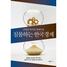 Idamidieo 沉沒的韓國經濟 ： 金永旭博士的經濟毒舌, 金永旭