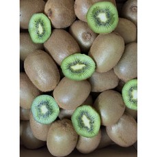 <가람> 제주산 신선한 그린키위/새콤달콤 참다래/프리미엄, 1박스, 2kg 소과