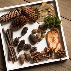 微景觀攝影道具組 森林系復古風DIY材料包, 一包90g