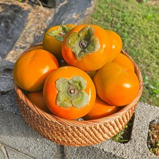 고당도 부유 단감 꿀 감, 1박스, 단감 3kg (대과/11~13입)