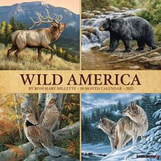 (영문도서)Wild America 2026 12 X 12 Wall Calendar Spiral, Willow Creek Press Calendars, English, 9781549253270
