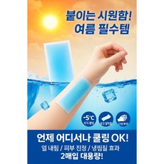 유어픽 여름 더위 필수템 아이스 쿨패치 / 얼음처럼 시원한 냉찜질 / 열내림 패치 [ 10팩 20매 ], 10개
