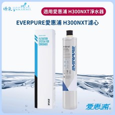 EVERPURE 愛惠浦 H300NXT 濾心 原廠公司貨, 1個