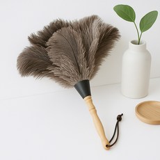 앙플랜트 다용도 타조털 먼지털이개 차량청소 먼지털이, 혼합색상, 1개