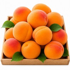 [한정초특가] 고당도 노지 살구 정품 제철 햇살구 산지직송 디아머스, 1박스, 1.2kg (중대과)