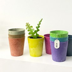 마이플랜트 그로워클레어 플라스틱 저면관수 인테리어 화분, 테라, 유