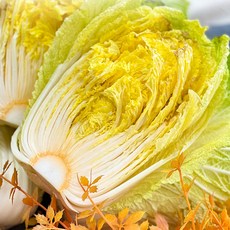 하라네 해남 베타배추 미니 항암 배추 알배기 쌈배추, 2.5kg, 1박스, 베타배추(3-4포기)