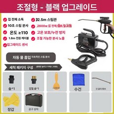 다용도 고온 스팀청소기 핸디형 살균 소독 주방 욕실 세차 위생 가전 데스크 소품 세트, 2600W 가정용 1단계 분무기 공구함 B, 기본 모델명/품번