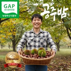 더맛곳간 공주 정안 햇 생 밤 국산 제수용 알밤 왕밤 특대, 1개, 2kg