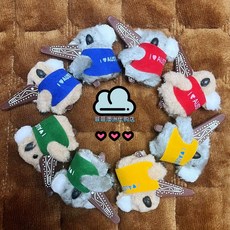 호주 기념품 캥거루 타롱가주 열쇠고리 여행 집게 브리즈번 코알라, I. 코알라 부메랑 무작위 색상 5cm, 1개