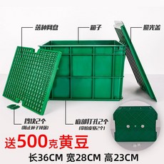 콩나물시루 플라스틱 발아통 숙주재배 상자 화분 새싹, 콩나물통 10~12인분, 1개