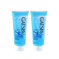 갸스비 쉐이빙 젤 쿨 타입 205g x2개, 2개